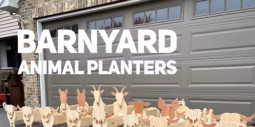 Animal planter boxes. Workshop or Pre-Order