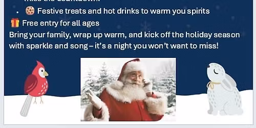 St. Luke's annual Christmas lights switch on