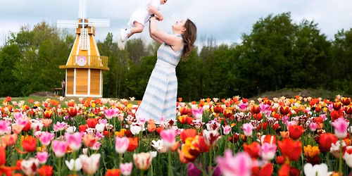 Lakeland Orchard Tulip Field Photoshoot by Piece of Cake Portraits