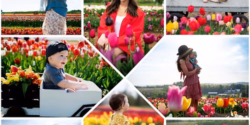 Lakeland Orchard Tulip Field Minis by Piece of Cake Portraits 