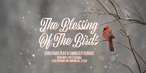 The Blessing Of The Birds: Christmas Play & Candlelit Service