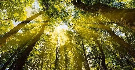 TPTA Monthly Hike at Eisenhower State Park - Sat 11\/7\/2026 at 9:00