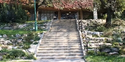 \u00dajbudai s\u00e9t\u00e1k 4.1 Budai Arbor\u00e9tum (m\u00e1jus 2.)