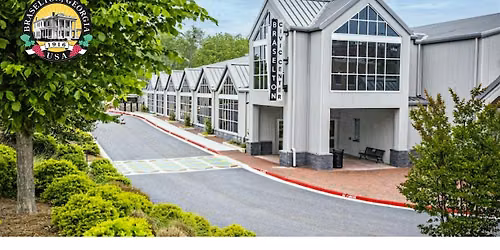 Braselton Coin Show
