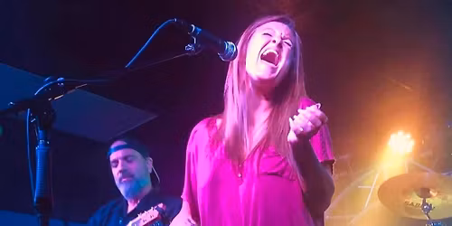 Live Music with the Violent Gypsies @ Local Logic