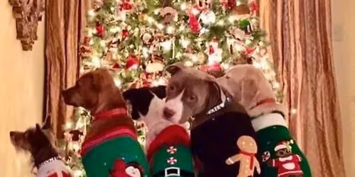 Ugly Sweater Party @ Newbe\u2019s