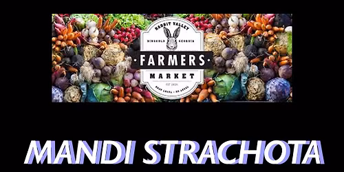 Mandi Strachota Solo @ Rabbit Valley Farmer's Market