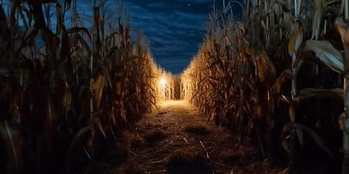 Flashlight Night in the Maze