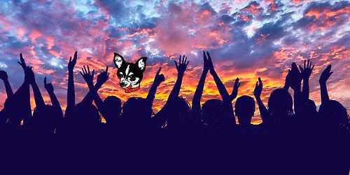 Off The Leash! early dance party