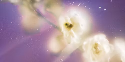 Cassandra Jenkins in Chicago