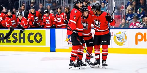 Charlotte Checkers vs. Toronto Marlies
