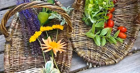 Beginners\u2019 willow weaving workshop - make a flower & produce basket with Jane from Weave & Unwind