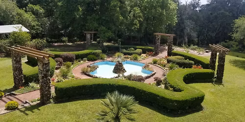 Rabbit and Rose Tearoom opens again! An Enchanted Dream Tea