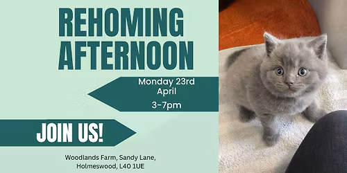 Rehoming Afternoon