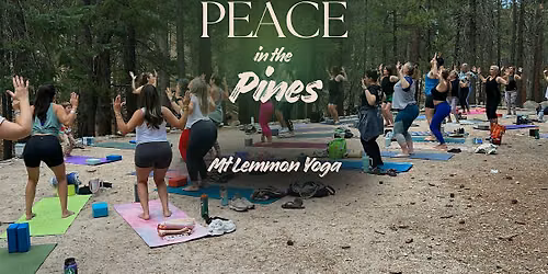 Peace in the Pines | Mount Lemmon Yoga