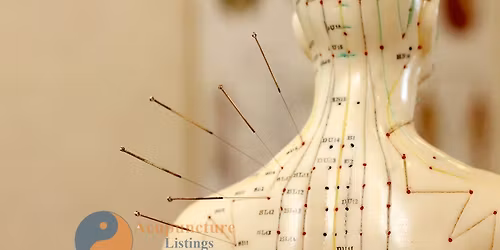 Dissection Course for Acupuncturists - iDissect