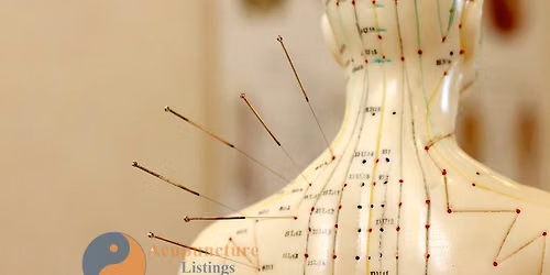 Dissection Course for Acupuncturists - iDissect
