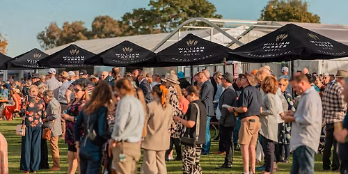 Wagga Gold Cup Week @ The Faz \ud83c\udfc7