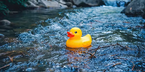 Duffins Creek Festival