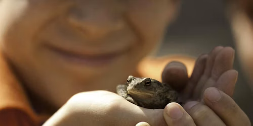 SEND Wonderful Wildlife Weekends at Camley Street Natural Park