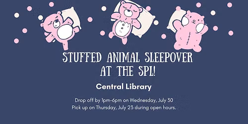 Stuffed Animal Sleepover at Central