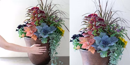 Make-n-Take: Fall Container Garden at Mahoney's Brighton