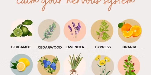 Aromatherapy Alchemy