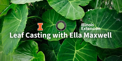 Leaf Casting with Ella Maxwell