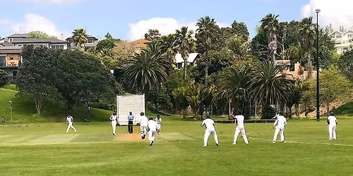 Umpiring in Auckland