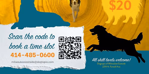 Agility Class at Dogtopia Milwaukee East Side