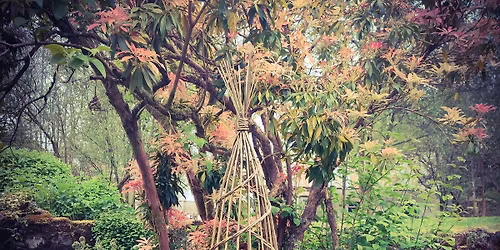 Willow workshop. Make your own willow obelisk \/Plant support