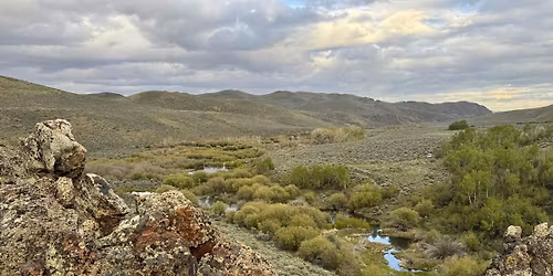 Screening of The Desert Trout: The Fight to Save Nevada's Native Fish