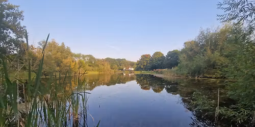 Winter Solstice Retreat Day ( FULLY BOOKED)