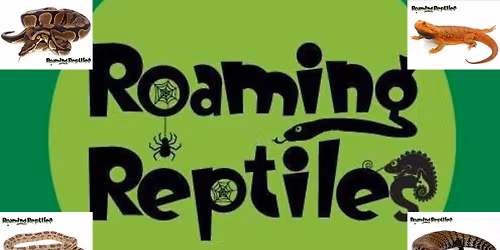 Roaming Reptiles - Hands on experience