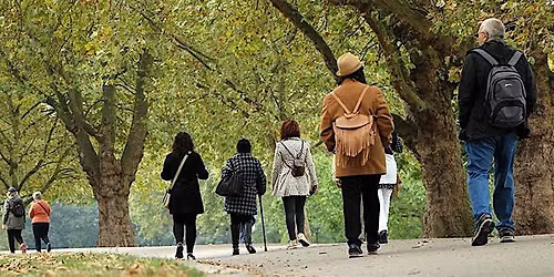 Steps in Gratitude Walk. (Every Monday, 10am-11am).
