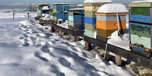 Sustainable Beekeeping Symposium