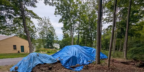 Faulkner House Archaeology Project