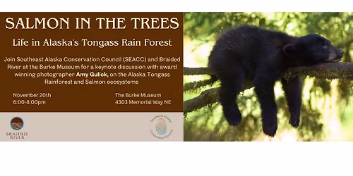 Salmon in the Trees: Protecting the Tongass National Forest of Alaska