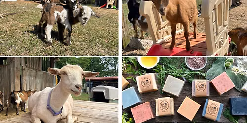 SBF Open Farm Day 2026
