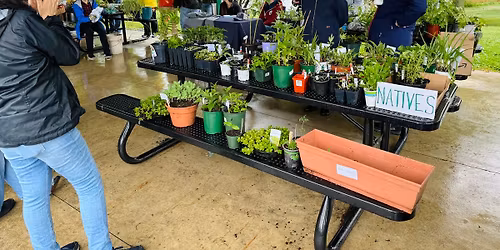 Beverly Plant Swap 2026