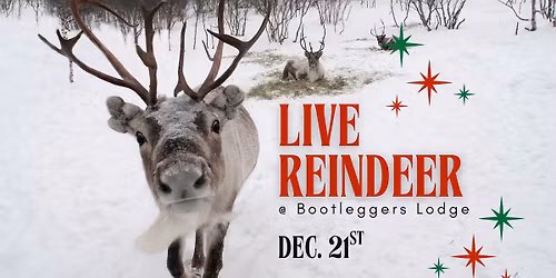 Brunch with Santa & LIVE Reindeer