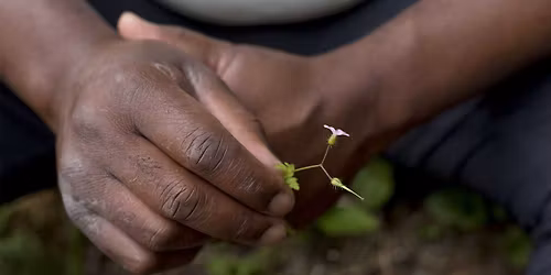 Refuge and Belonging: A Buddhist retreat for People of Colour