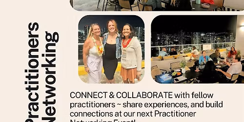 Practitioner Networking Event