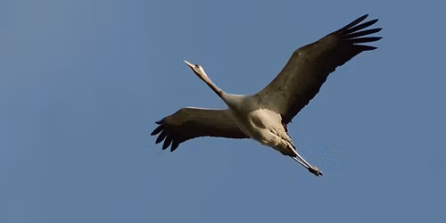 Darules a szegedi Feh\u00e9r-t\u00f3n\u00e1l 11.01.