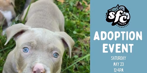 5\/23 Adoption Event at PetSmart Stafford Market Place