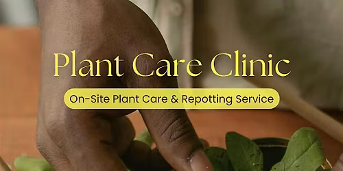 Plant Care Clinic: On-Site Plant Care & Repotting Service