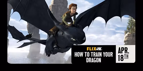 HOW TO TRAIN YOUR DRAGON FLIX JR.