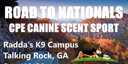 Road to Nationals CPE Canine Scent Sport Trial
