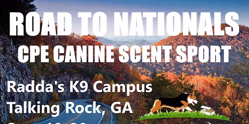 Road to Nationals CPE Canine Scent Sport Trial
