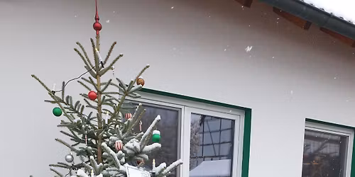 Christbaumverkauf am Hof